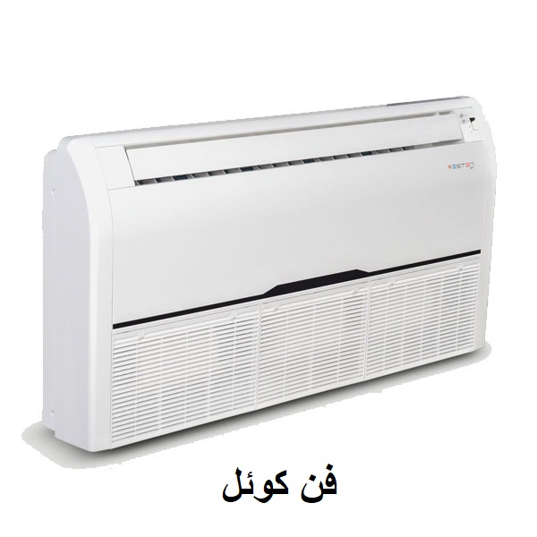فن کوئل