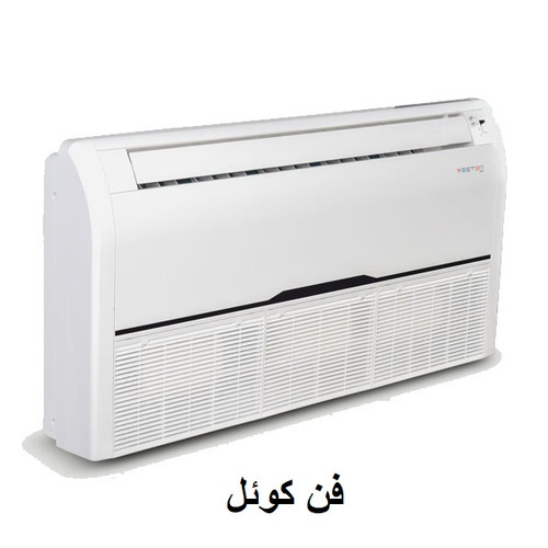 فن کوئل